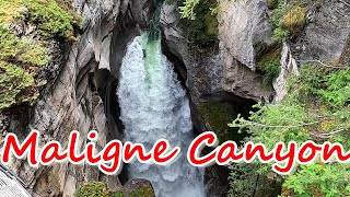 Maligne Canyon Hiking Tour In Jasper National Park Alberta Canada  Top Things To Do In Jasper [upl. by Amathiste]