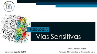 Vías Sensitivas Ago 22 [upl. by Ayaj]