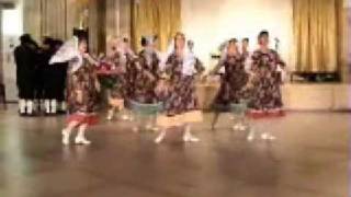 Shorashim Dance Troupe short cuts of dances [upl. by Airamahs]