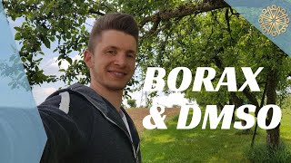 Borax Vlog1  BORAX amp DMSO  Meine Erfahrungen  Transzendentale Bewusstseinserweiterung [upl. by Susumu822]