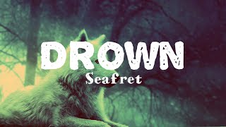 Seafret  Drown Lyrics [upl. by Ynnij]