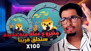 New Presale Aquadoge Crypto  عملة رقمية جديدة ستحقق أرباح جيدة عند الإطلاق X10 [upl. by Hara]