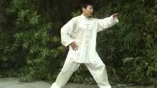 Tai Chi Silk Reeling Taiji [upl. by Gildus]