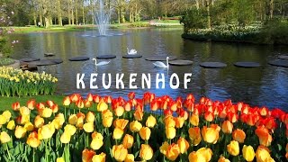 Keukenhof is de Tuin van Europa is een van de grootste bloementuin van de wereld Full HD [upl. by Emylee]