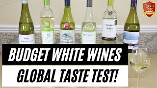 WHITE WINE TASTE TEST COMPARISON  BEST BUDGET Sauvignon Fumé Blanc in the world [upl. by Weld]